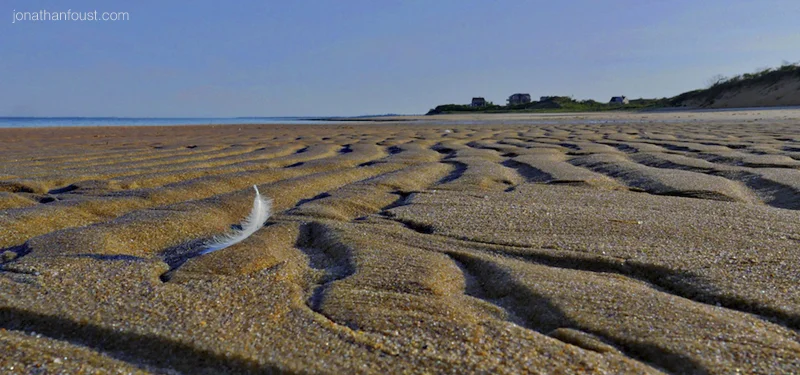 The Call to Practice:  Surfing the Waves of Emotions