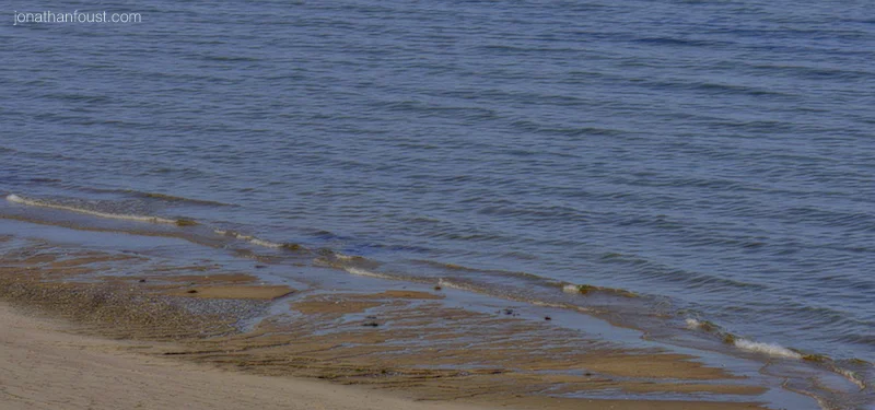 The Heart Practices: Loving Kindness