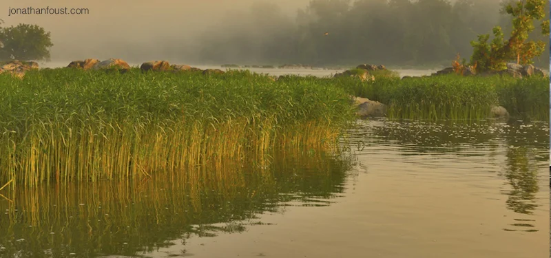 The Heart Practices:  Compassion for Self