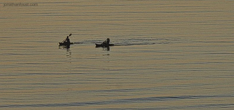 The Heart Practices: Increasing Your Capacity for Joy