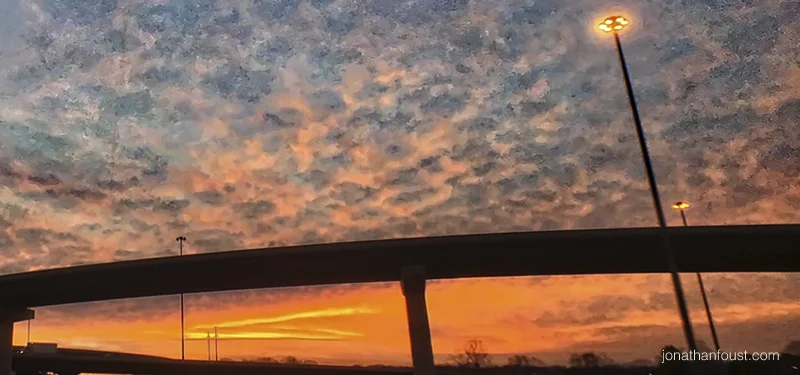 The Relational Field