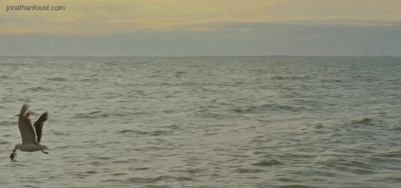 The Heart Practices: Cultivating Equanimity