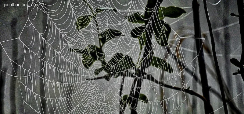 Practicing at Your Edge and Your Path to Balance