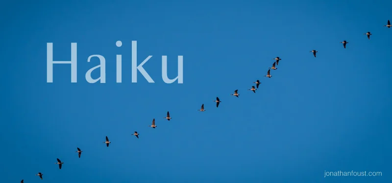 Who's following who?