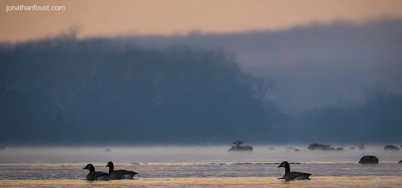 More Questions That Can Change Your Life