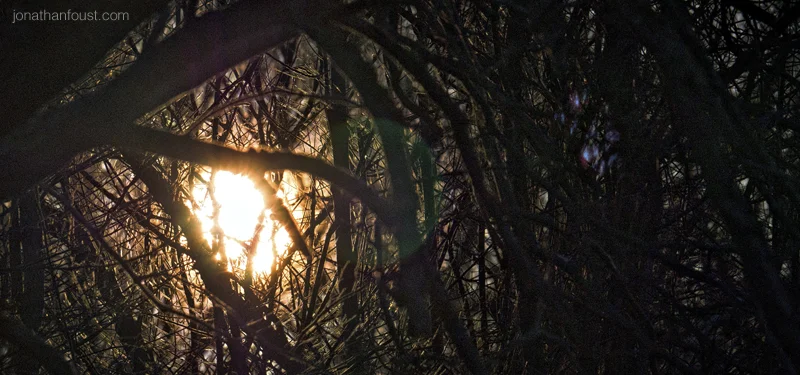 Coming Home:  The Portal of Self-Compassion (Retreat Talk)