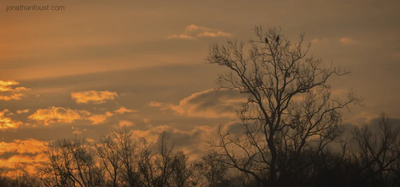 Four Things I Learned on My Retreat