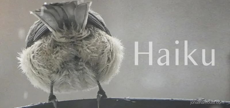 Depressing Haiku for the Day