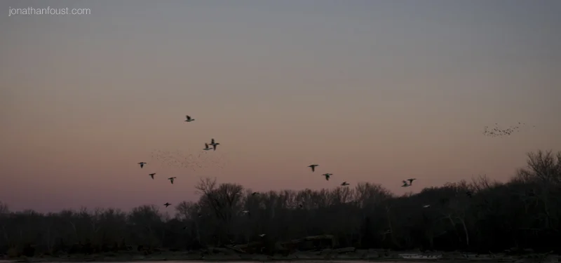 The Path: Skillful Effort