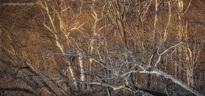 Beyond Sickness, Old Age and Death