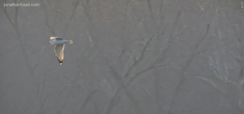 Mindfulness Strategies for When You are Really Really Busy