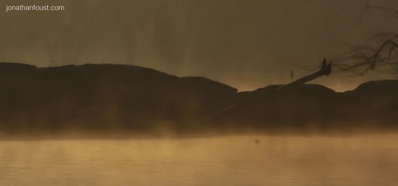 Spacious Awareness and the Immeasurable Heart