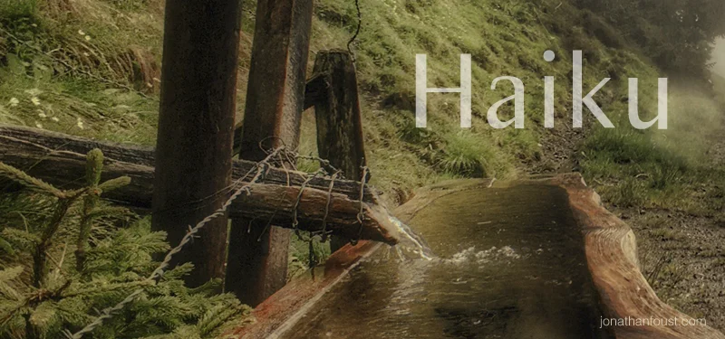 High in the Mountains