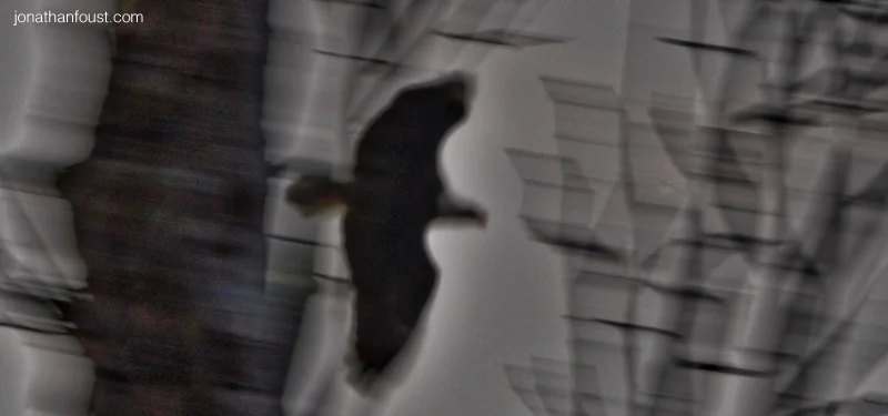 Strategies for Transforming Your Relationship with Anxiety