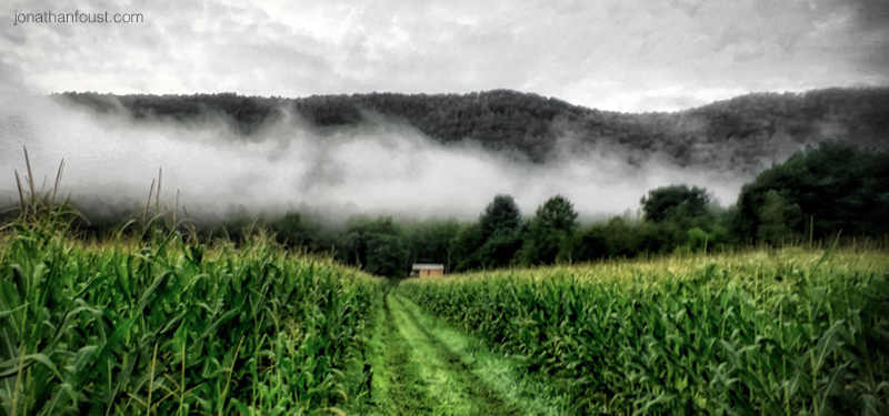 Strategies for Transforming Your Relationship with Addiction