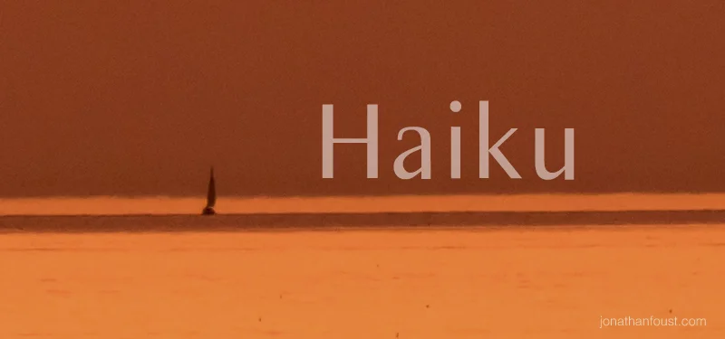 What You’re Looking For