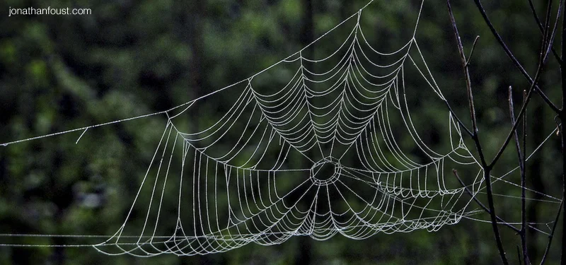 How to Keep Your Heart Open During the Election