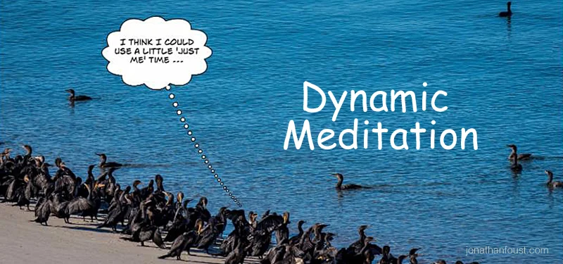 Could You Benefit From A Day Of Intensive Practice?