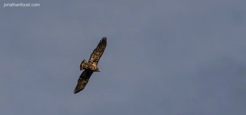 Happiness is the Best Revenge