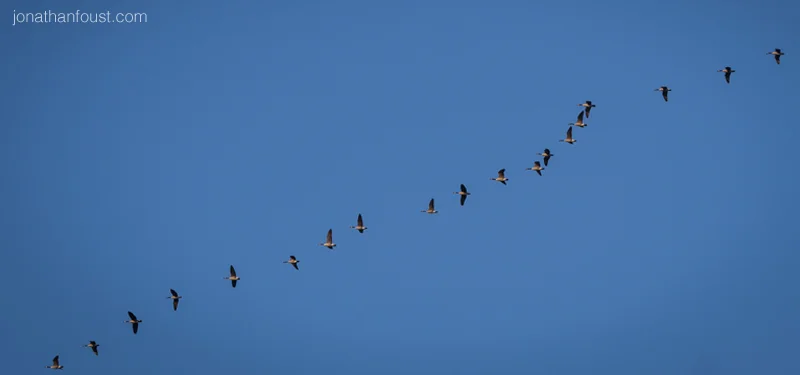 Transforming Your Relationship with Fear, Part 1