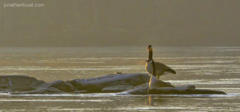 Forgiveness: Short Talk and Guided Meditation