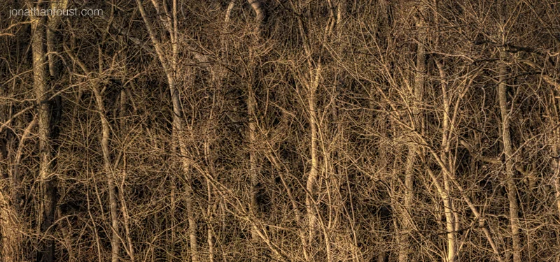 Retreat Instructions and Q&A: Working with Physical Pain and Boredom