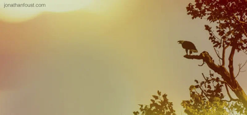 Compassion and the Inner Life