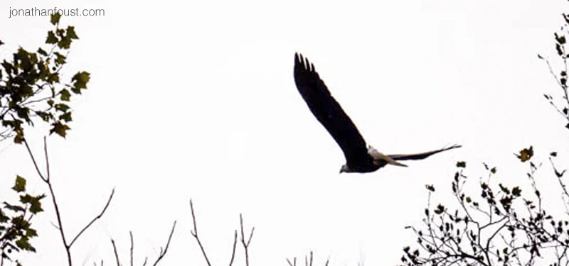 Compassion and the Outer Life