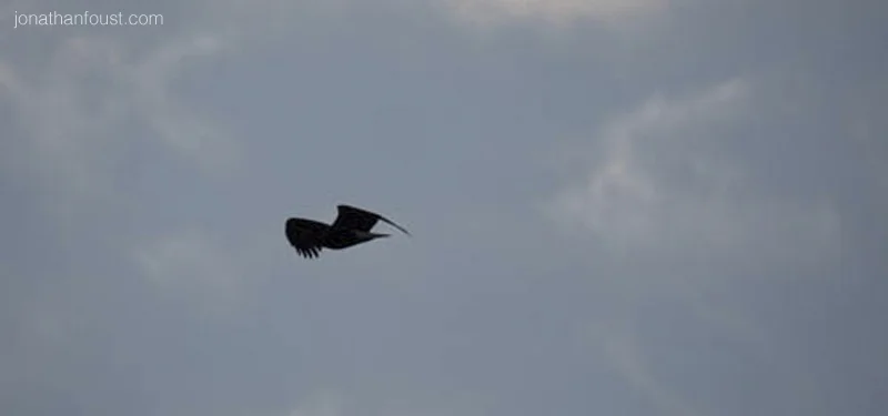 Four Things I Learned on My Winter Retreat