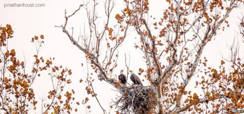 Forgiveness and Letting Go as a Spiritual Practice