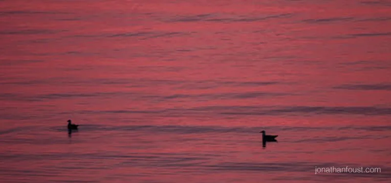 Desire, Addiction and Liberation