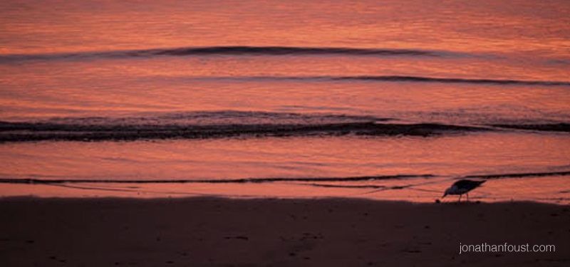 The Power of Humility