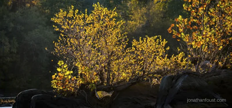 Making It Happen vs Letting It Happen