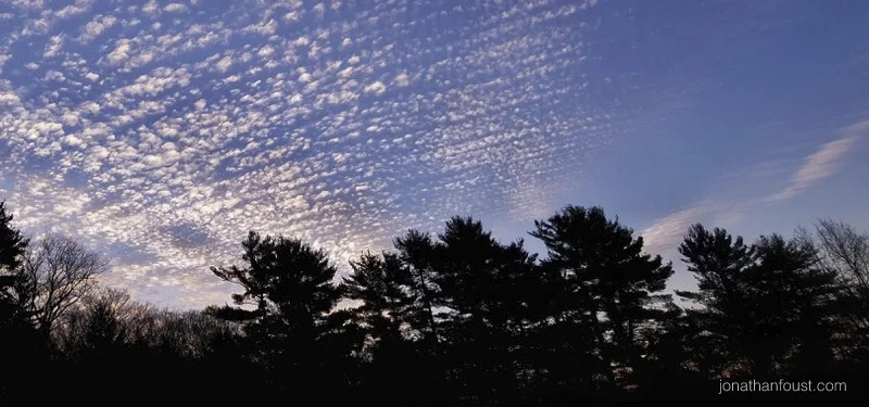 Breath, The Mystery and Science