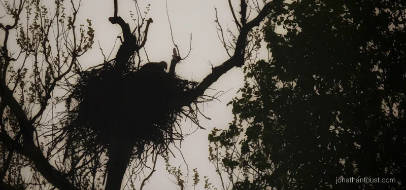 Settling In for the Night