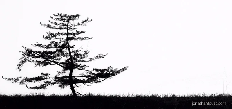 Settling in for the Week