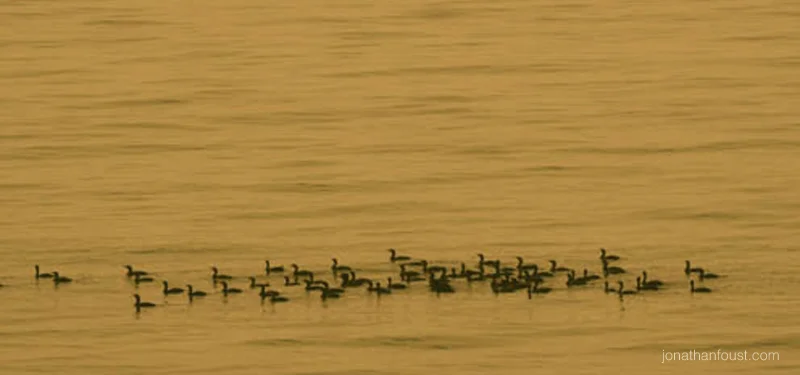 How to Align Your Actions with Your Goals