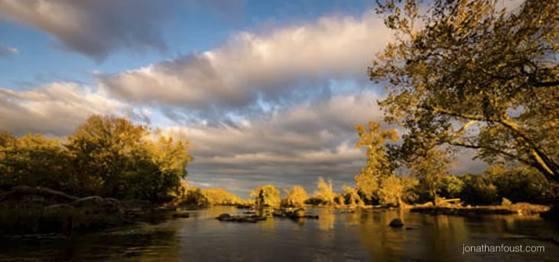 How to Cultivate Wisdom and Insight