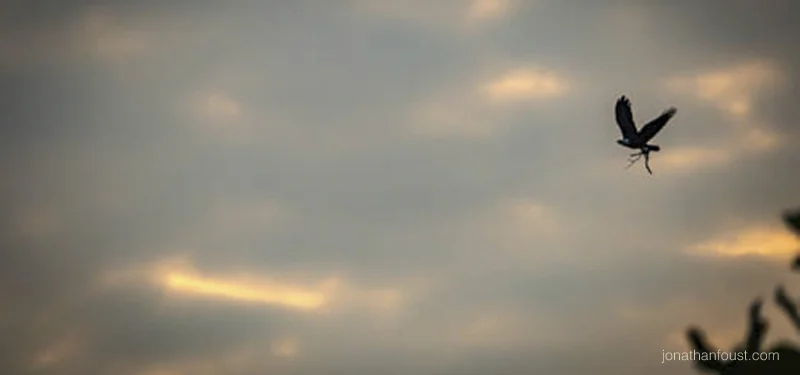 How to Cultivate Vigor and Vitality