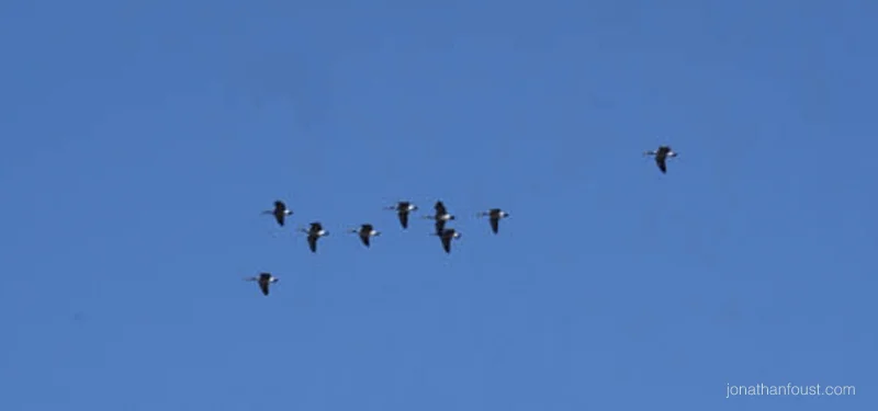 How to Cultivate Honesty and Truthfulness