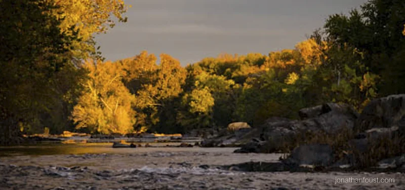 How to Cultivate Determination and Resolve