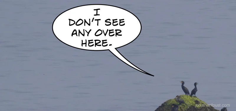 When You Really, Really Want to Swim