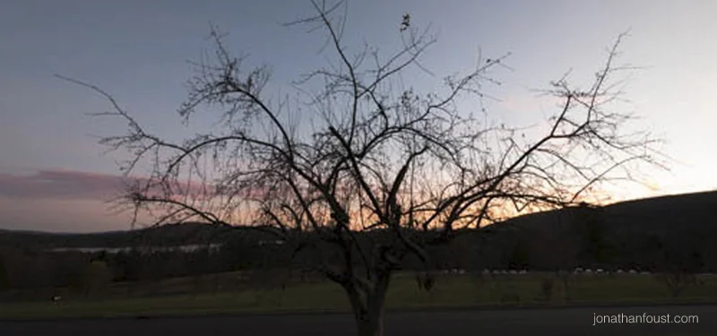 How to Cultivate a Kind and Friendly Heart