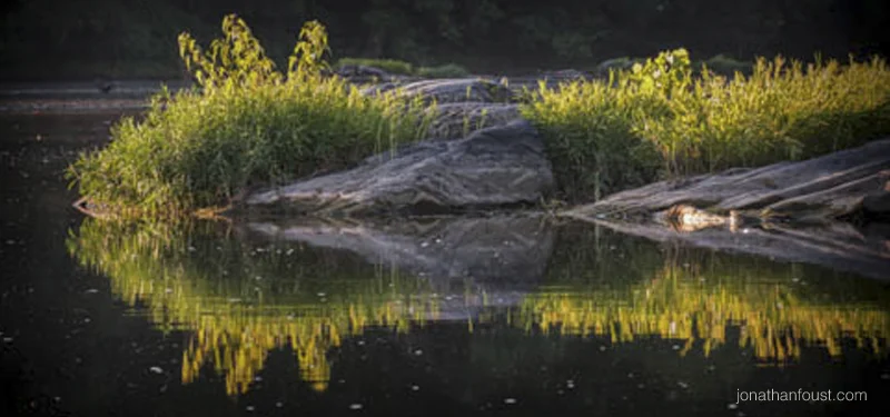 Serenity Now!  How to Cultivate Equanimity