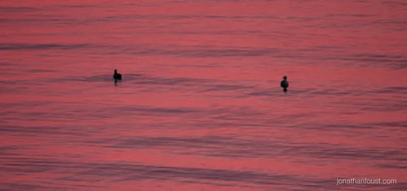 Shining Light on Your Shadow