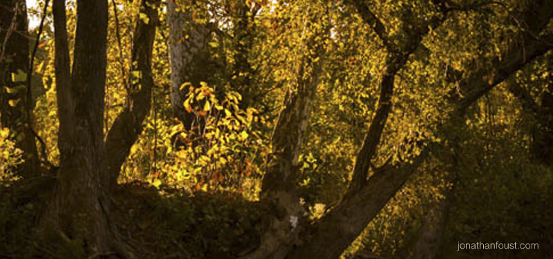 Qualities of an Awakened Being (Retreat Talk)