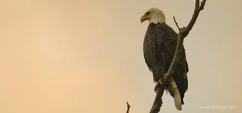 Back in the Saddle Again