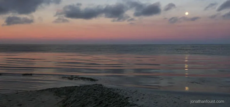 From Anger to Wise Action