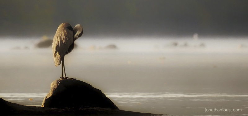 Meditation: Stretch, Slo-Mo, Scan, Sit and Surrender (25 minutes)