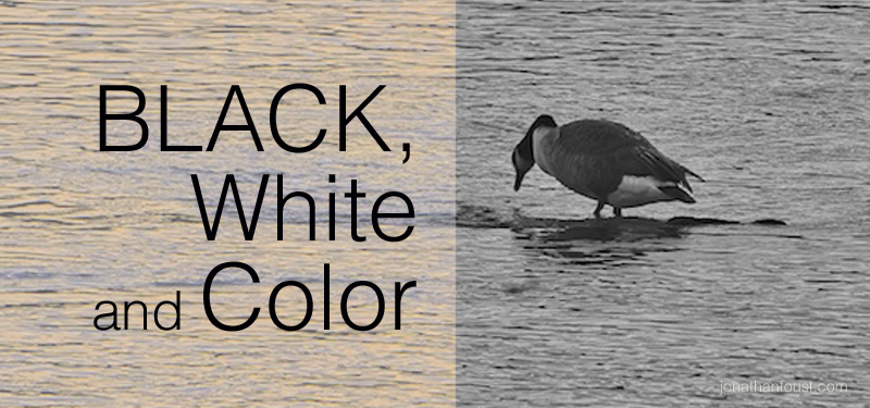 BlackWhiteandColor.jpg